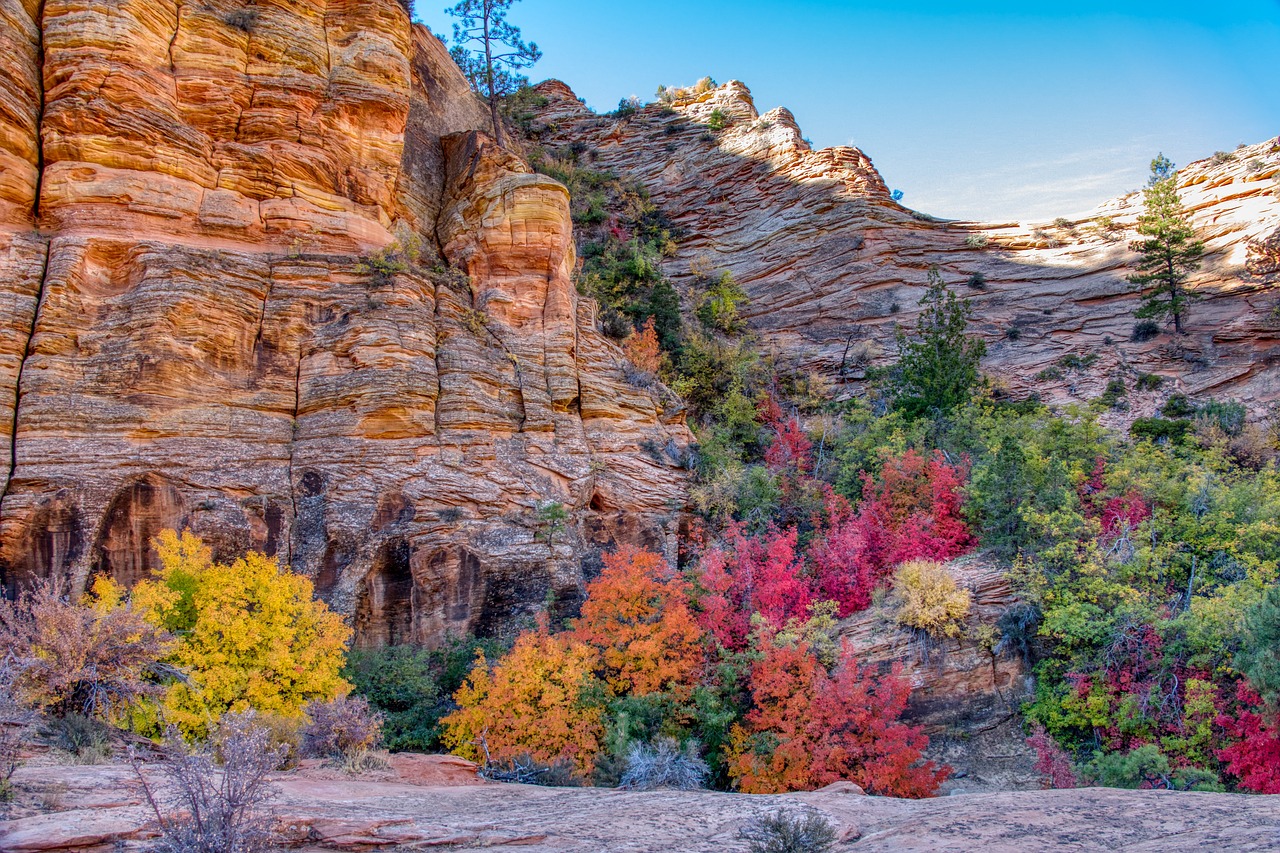 Green Travel Tips for Visiting the United States’ Zion National Park